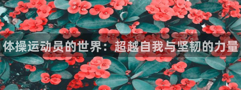 一竞技官方正版app娱乐网站:体操运动员的世界:超越自我与坚