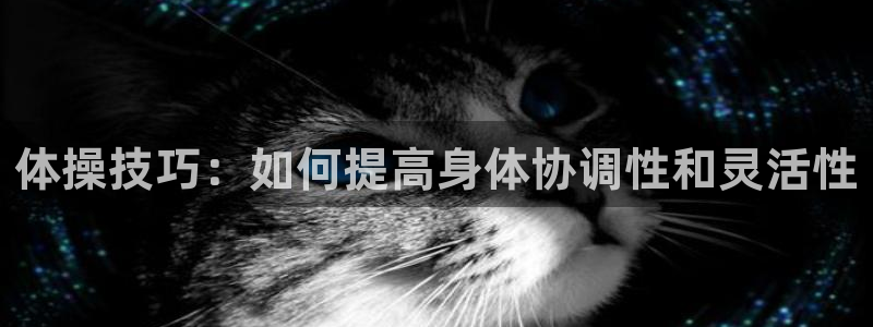 一竞技官方平台体育:体操技巧:如何提高身体协调性和灵活性